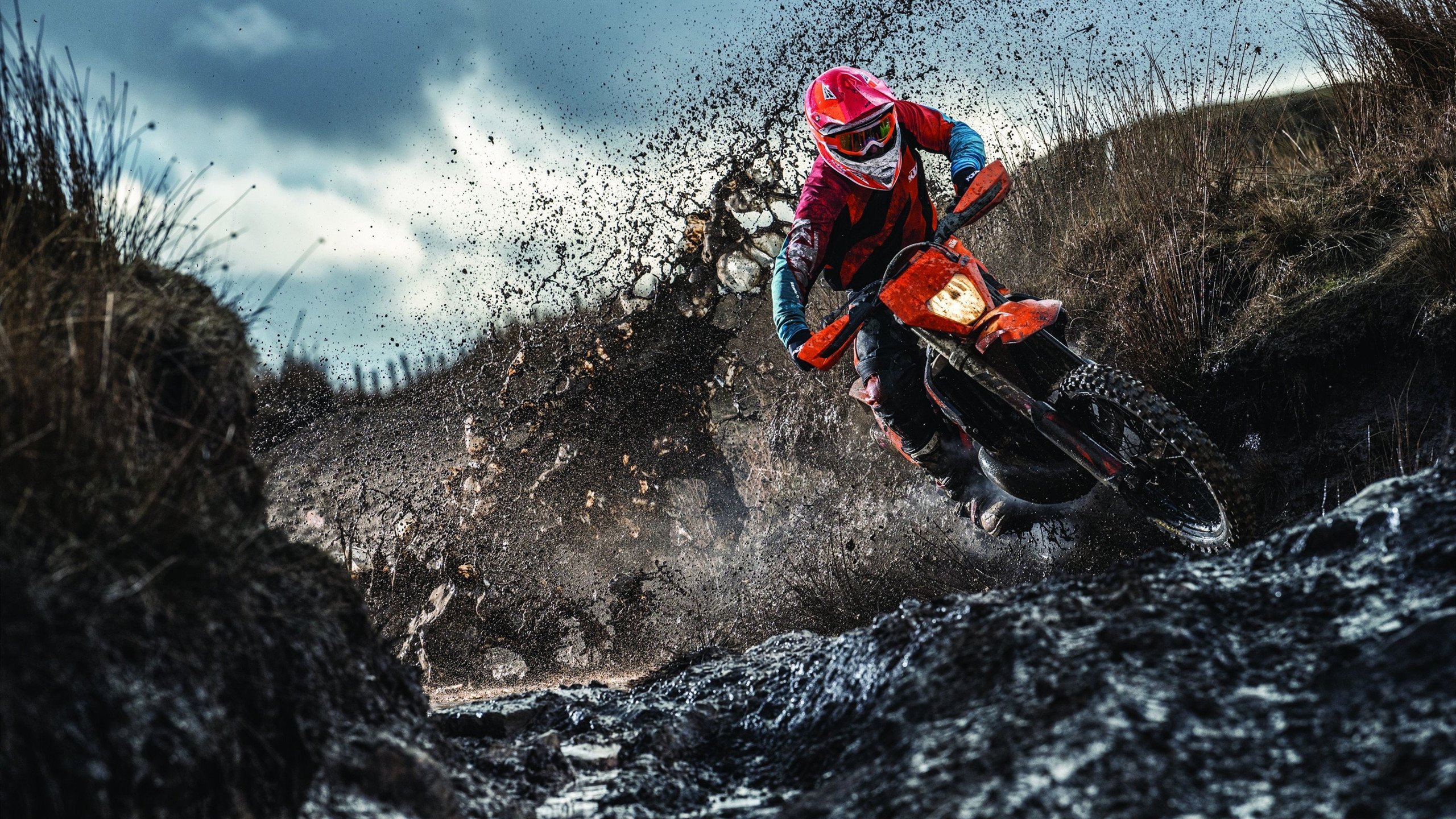 最新乒乓球男女单世界前十更新，乒乓球男女最新世界排名